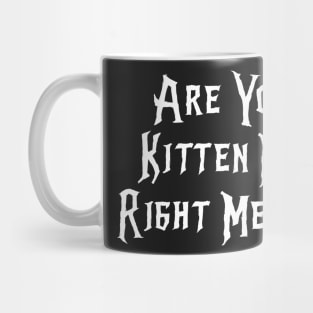 Are You Kitten Me Right Meow Mug